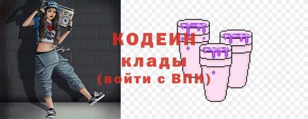 гашик Гусь-Хрустальный