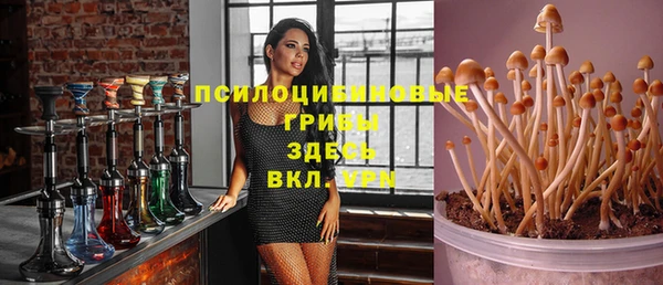 гашик Гусь-Хрустальный