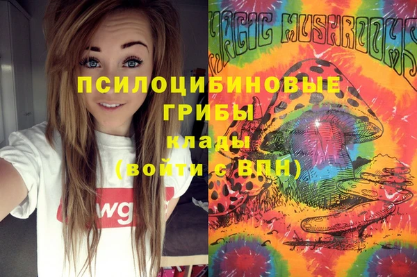 марки lsd Гусиноозёрск