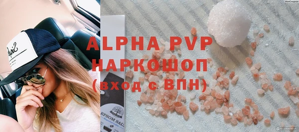 гашик Гусь-Хрустальный