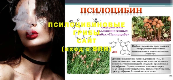 марки lsd Гусиноозёрск