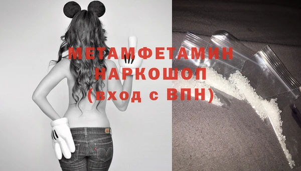 гашик Гусь-Хрустальный
