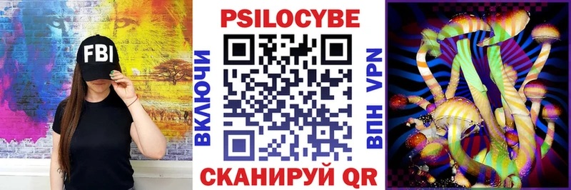 Галлюциногенные грибы Psilocybe  Купить закладки  Починок 