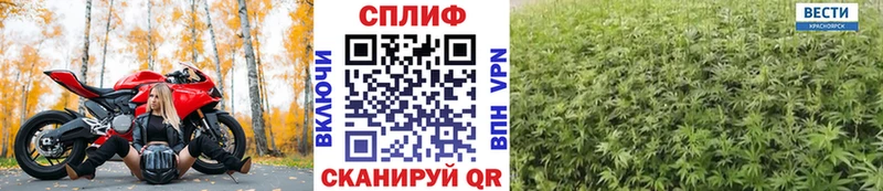 Купить  Починок  Каннабис гибрид 